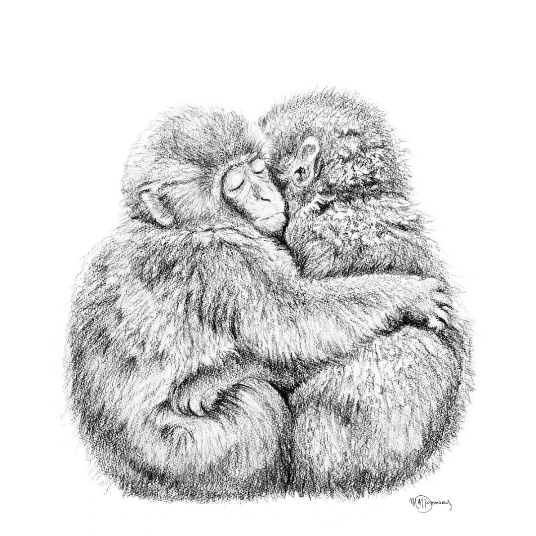 Adorable monkey hug