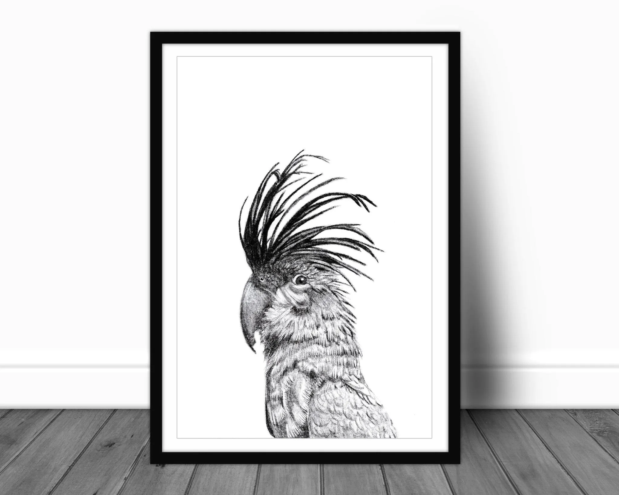 Cockatoo Portrait