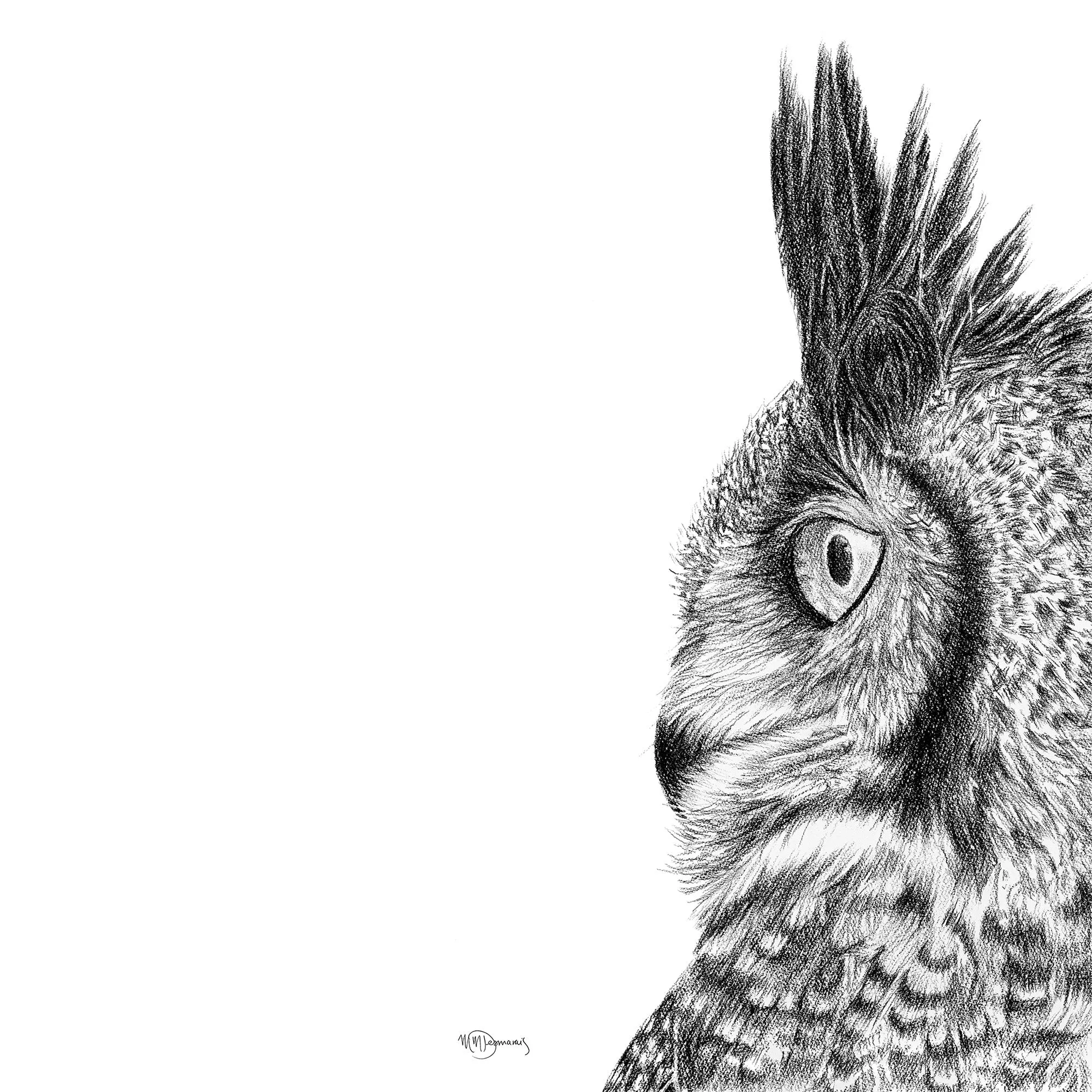 Great horned owl