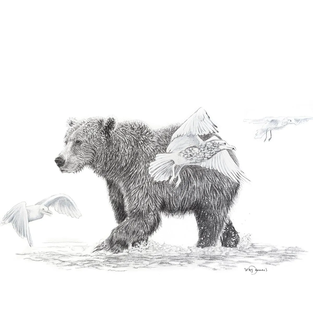 Grizzly with Birds